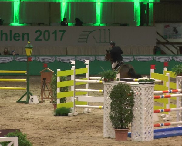 Reitturnier Gahlen 2017