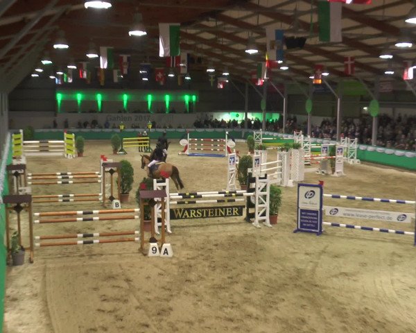Reitturnier Gahlen 2017