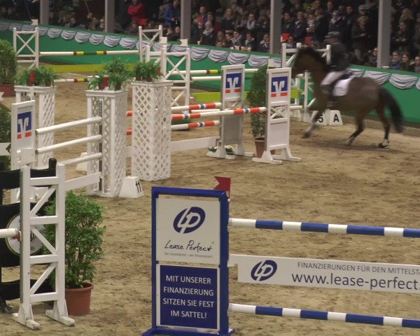 Reitturnier Gahlen 2017