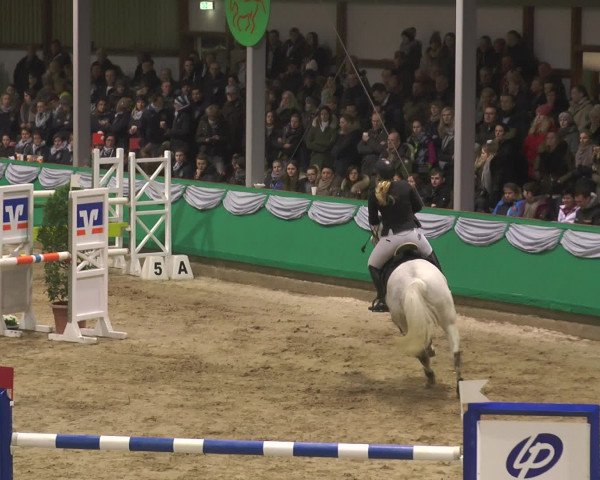 Reitturnier Gahlen 2017