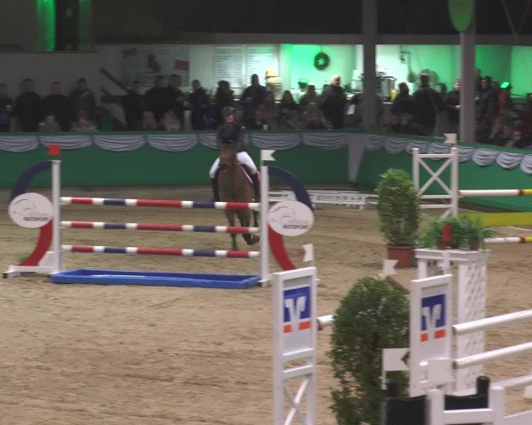 Reitturnier Gahlen 2017
