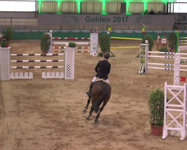 Reitturnier Gahlen 2017