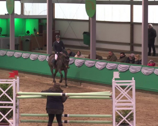 Reitturnier Gahlen 2017