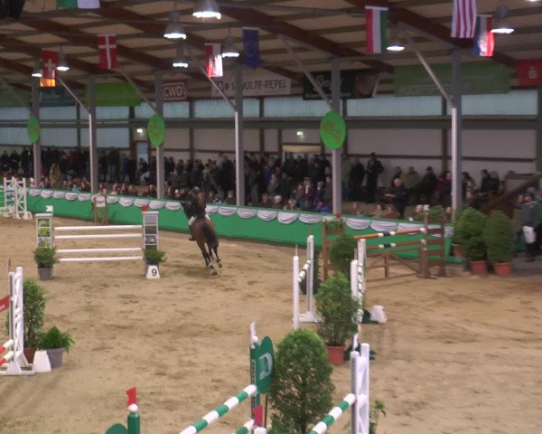 Reitturnier Gahlen 2017