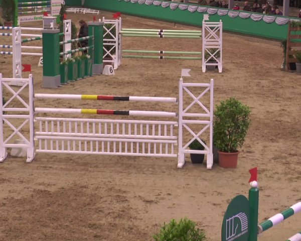 Reitturnier Gahlen 2017
