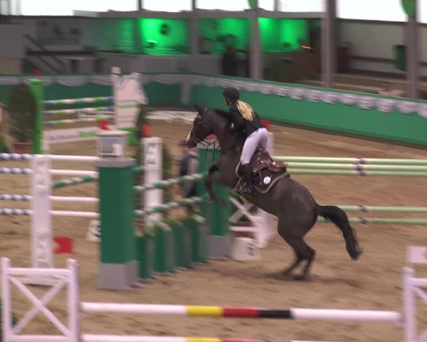 Reitturnier Gahlen 2017