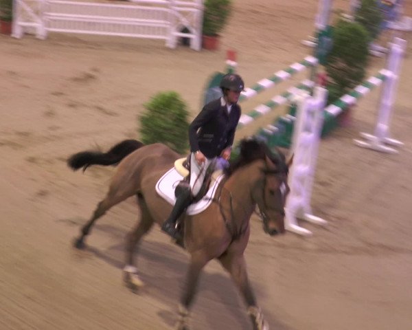 Reitturnier Gahlen 2017