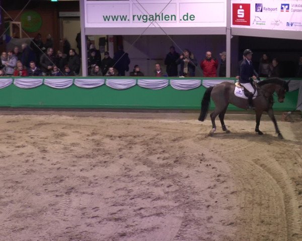 Reitturnier Gahlen 2017