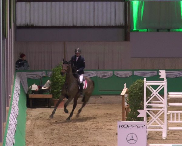Reitturnier Gahlen 2017