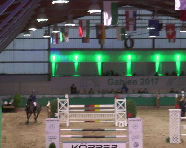 Reitturnier Gahlen 2017