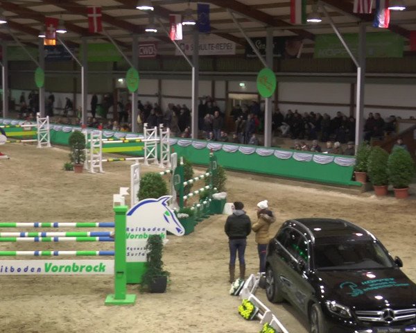 Reitturnier Gahlen 2017