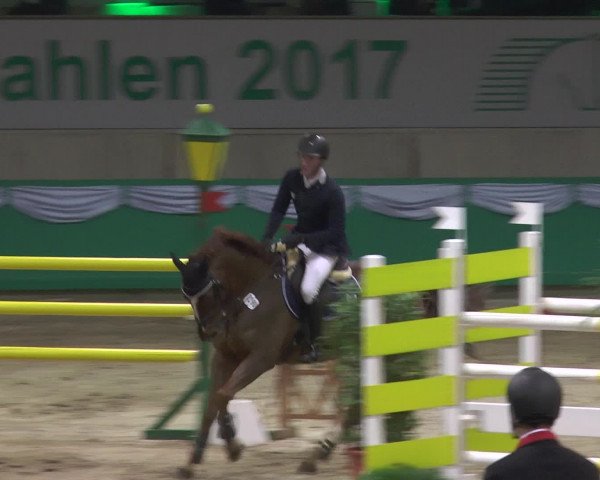 Reitturnier Gahlen 2017