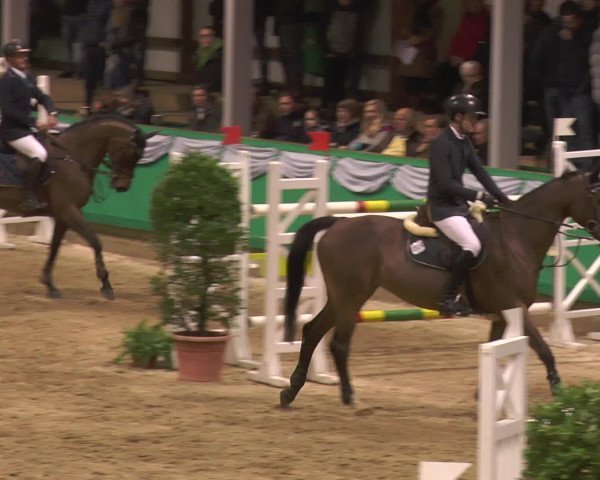 Reitturnier Gahlen 2017