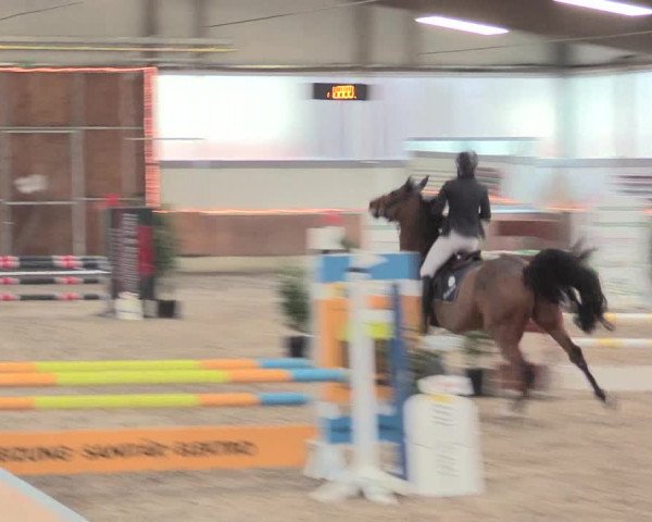 Reitturnier Südlohn-Oeding 2017