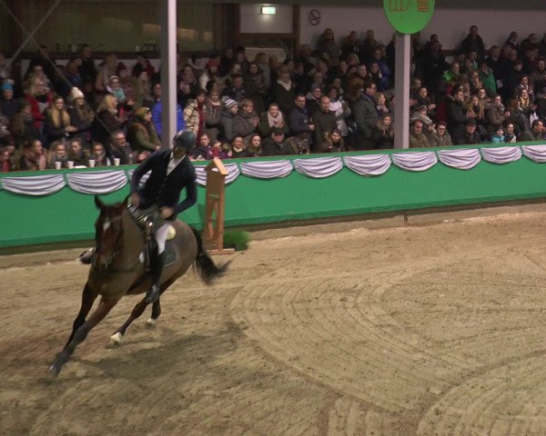 Reitturnier Gahlen 2017
