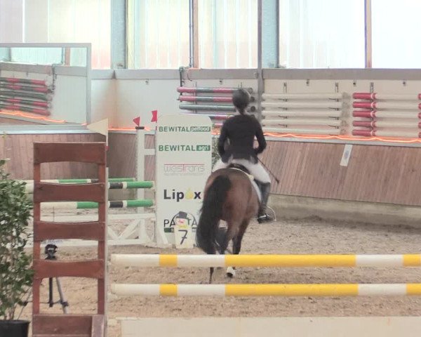 Reitturnier Südlohn-Oeding 2017