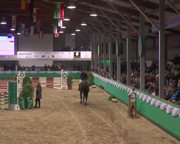 Reitturnier Gahlen 2017