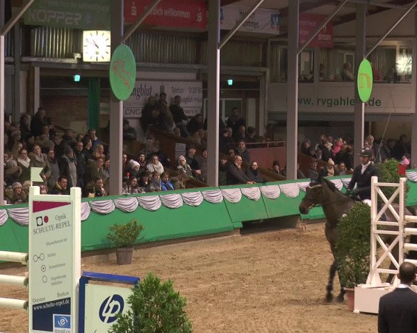 Reitturnier Gahlen 2017