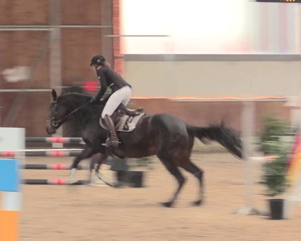 Reitturnier Südlohn-Oeding 2017