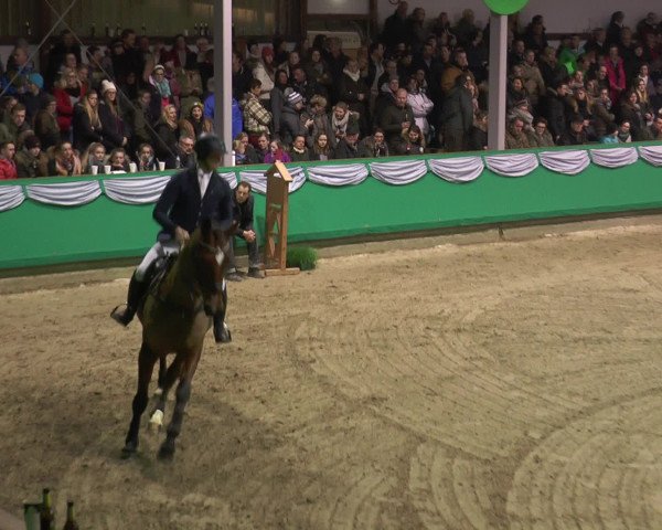 Reitturnier Gahlen 2017