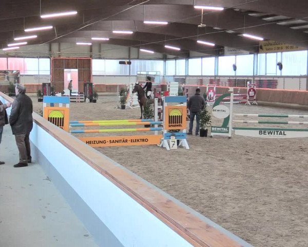 Reitturnier Südlohn-Oeding 2017