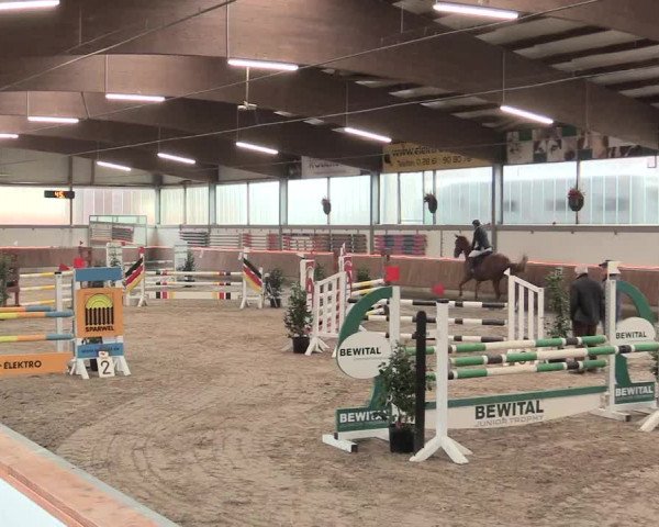 Reitturnier Südlohn-Oeding 2017