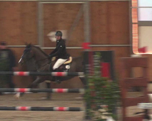 Reitturnier Südlohn-Oeding 2017