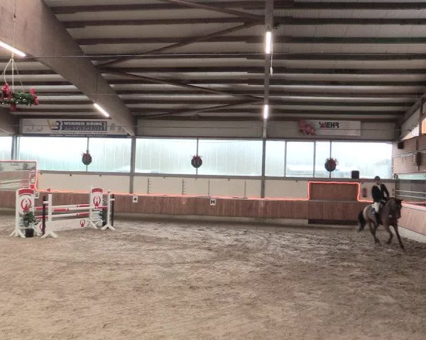 Reitturnier Südlohn-Oeding 2017