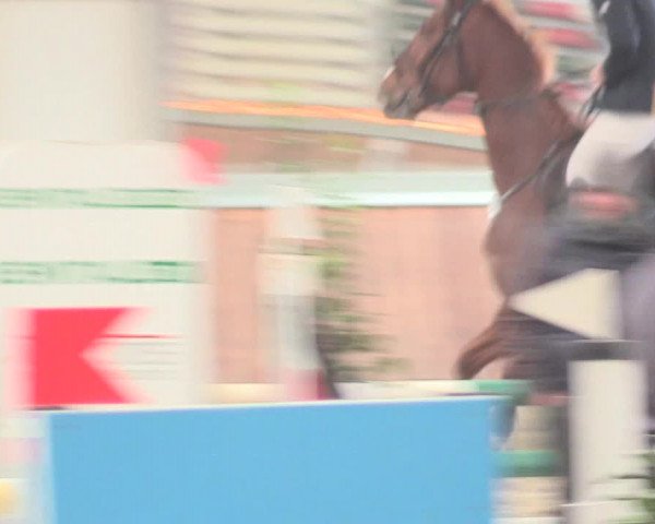 Reitturnier Südlohn-Oeding 2017