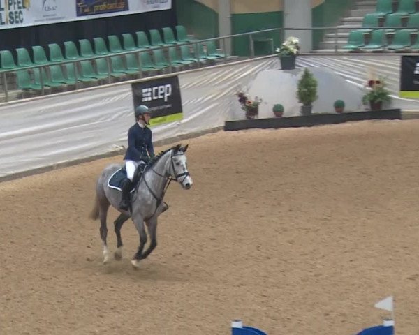 Reitturnier Kreuth 2017