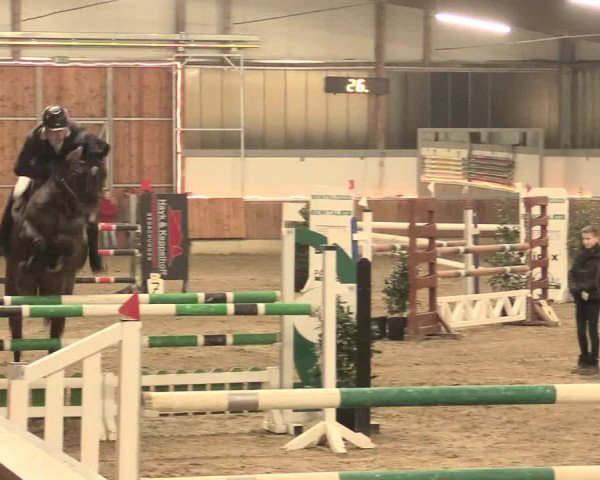 Reitturnier Südlohn-Oeding 2017