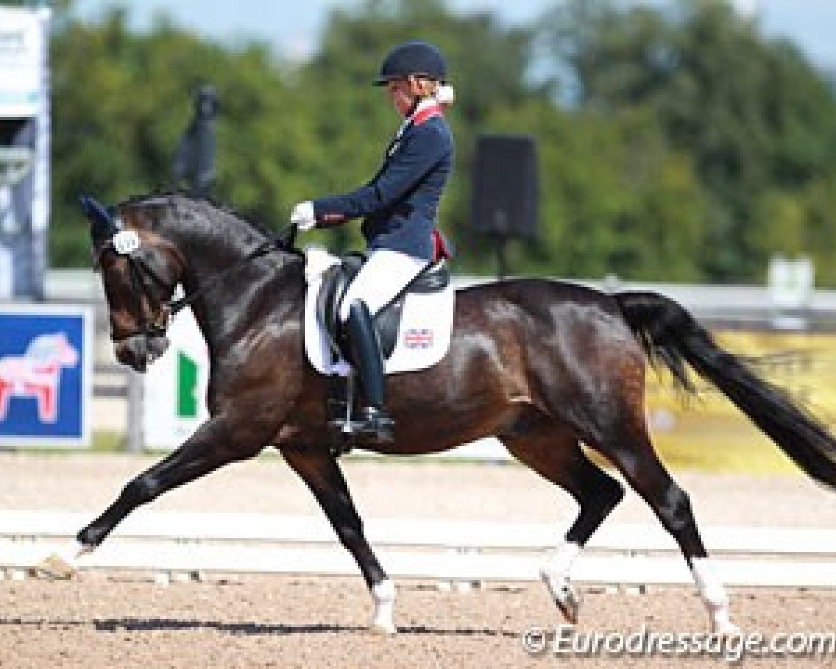 stallion Langar (German Riding Pony, 1996, from Lukas)