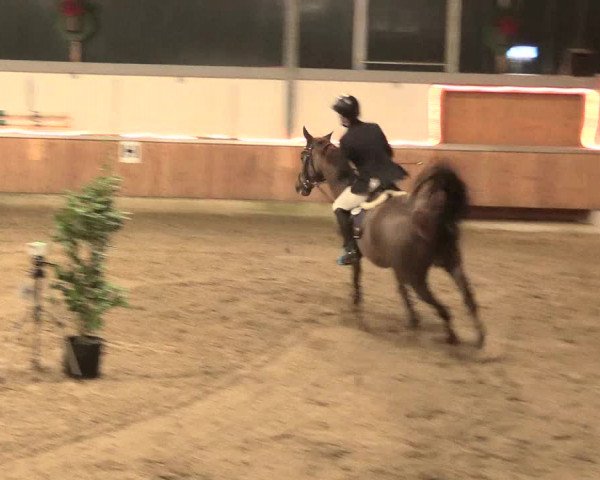 Reitturnier Südlohn-Oeding 2017