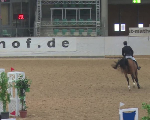 Reitturnier Kreuth 2017