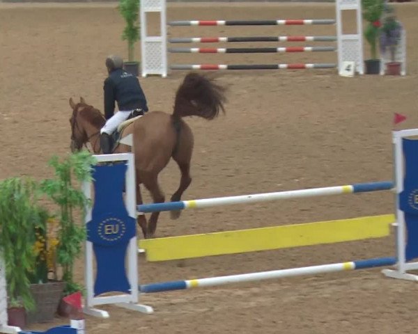 Reitturnier Kreuth 2017