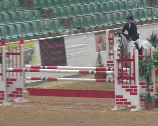 Reitturnier Kreuth 2017