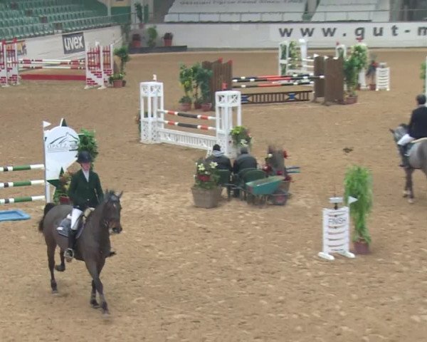 Reitturnier Kreuth 2017