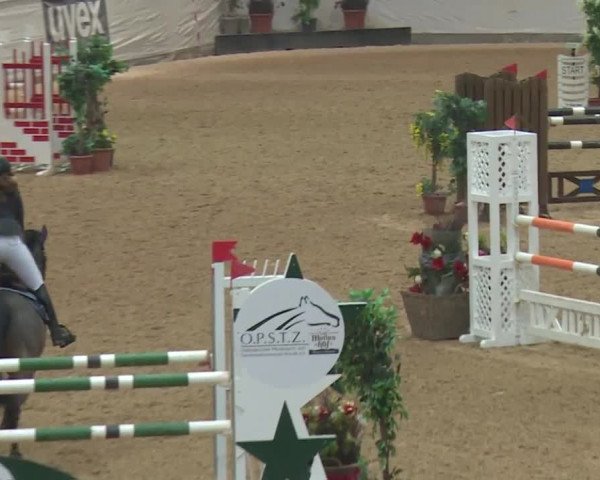 Reitturnier Kreuth 2017