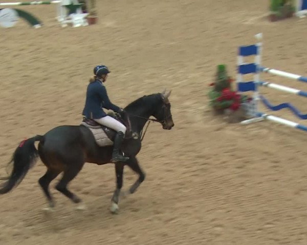 Reitturnier Kreuth 2017