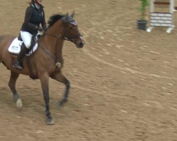 Reitturnier Kreuth 2017