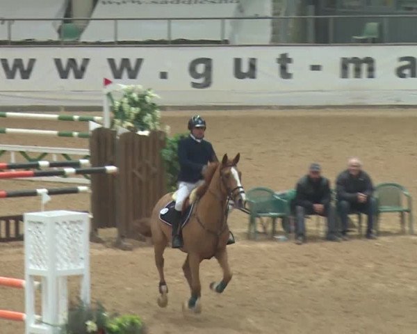 Reitturnier Kreuth 2017