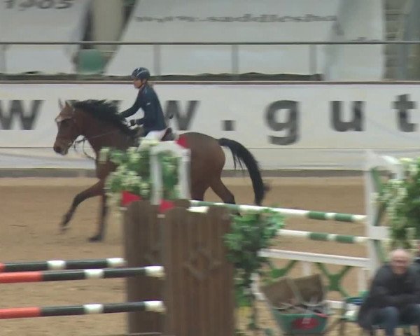 Reitturnier Kreuth 2017