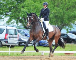 dressage horse Ratandro (German Warmblood, 2006, from Rejoice)