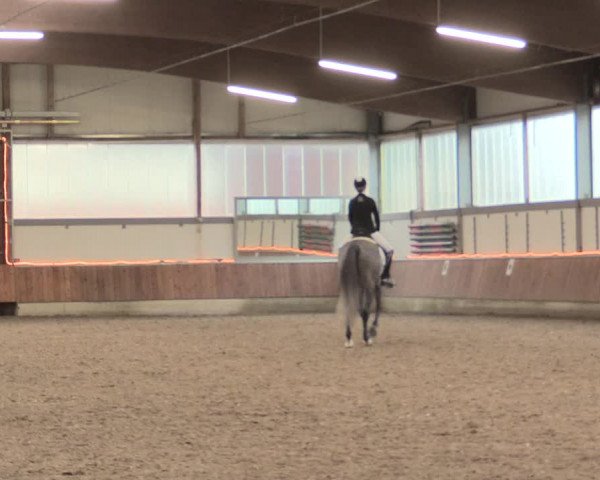 Reitturnier Südlohn-Oeding 2017