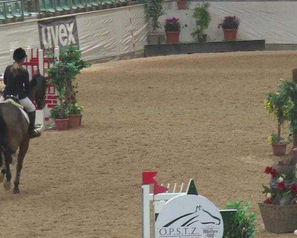 Reitturnier Kreuth 2017