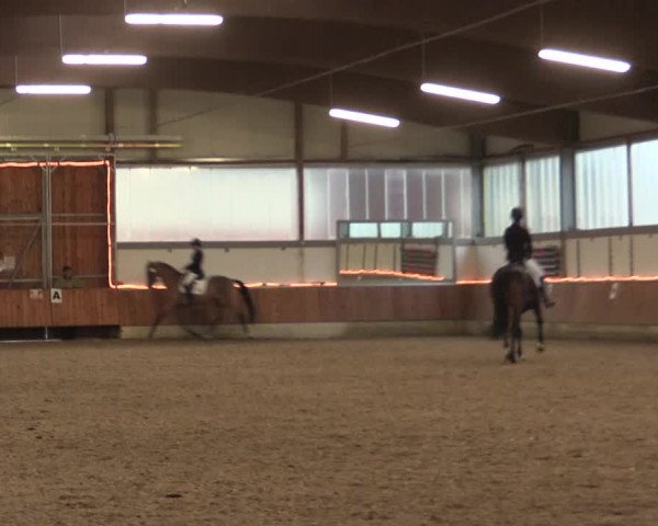 Reitturnier Südlohn-Oeding 2017