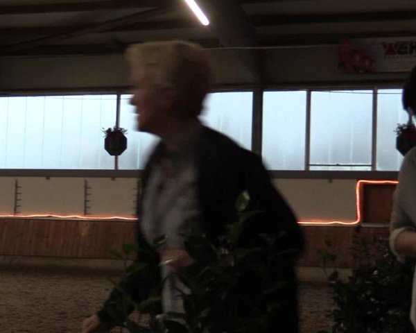 Reitturnier Südlohn-Oeding 2017