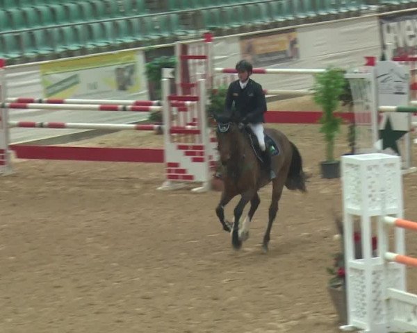 Reitturnier Kreuth 2017