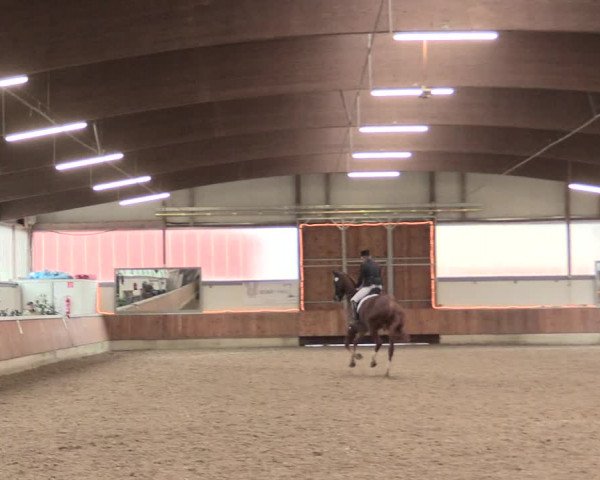Reitturnier Südlohn-Oeding 2017