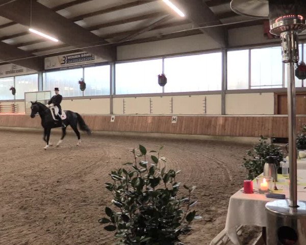 Reitturnier Südlohn-Oeding 2017